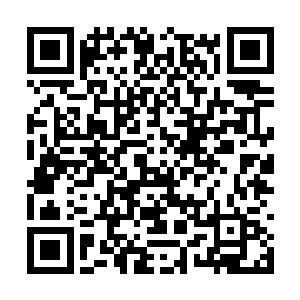 也绝对沒有办法将捆仙索这件作用单一的灵宝扯断二维码生成