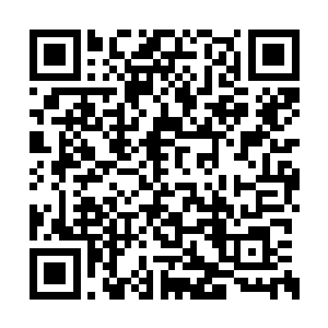 也肯定是只能住在学校里的那些普通公寓之中的二维码生成