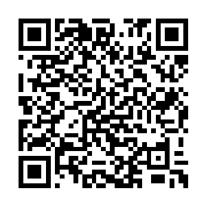 也能十分冷静面对那些常人绝对无法理解的怪异二维码生成