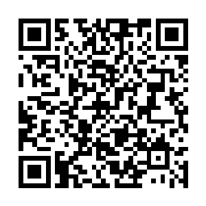 也能在顷刻间把他们这里所有的三族修士消灭殆尽二维码生成