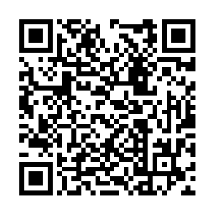 也能够给各自宗门留下一个天尊后期巅峰护宗神兽二维码生成