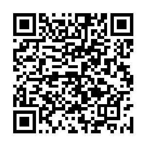 也能望见上坡的途中设有很多红隼军的碉堡和炮台二维码生成