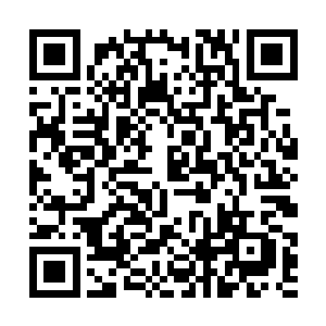 也能看到树皮和枝叶都没处理干净的树木做成的木屋二维码生成