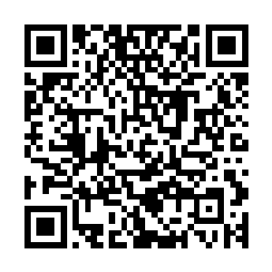 也能算是一种补药……它是用一种非常特殊的材料炼制而成的二维码生成