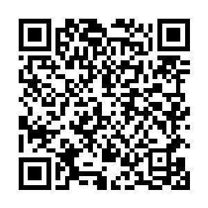 也至少得有几千年但我们摇动星辰掉落天道秘宝的时间二维码生成