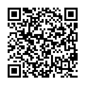 也衷心感谢每一个为教师投过一张票的朋友们的支持二维码生成