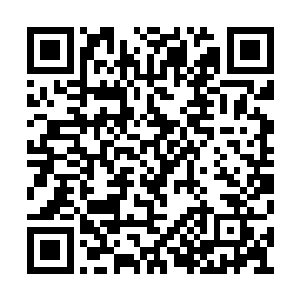 也被一位来自天剑界的神秘剑客段翼百招内打败二维码生成