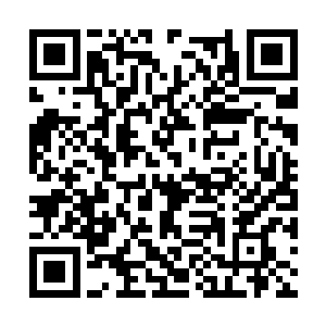 也被陆为民这突如其来的一番话给搅荡得有些乱了二维码生成