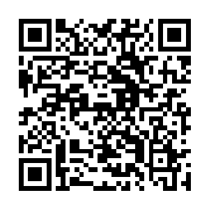 也要恭喜咱们主人这以后还要在这里生活这么久了二维码生成