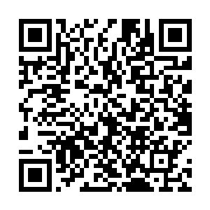 也见过不少残忍被伤害的受害者的尸体的人也都受不了二维码生成