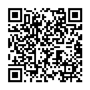 也让一次次因为生死战斗而受损的赤锋甲自行恢复二维码生成