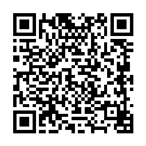 也让一直站在附近的龙飞飞和黄菲菲两人暗吃一惊二维码生成