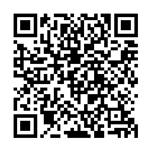 也让他的形象从原本的温和善良渐渐变得更具有威严了一些二维码生成
