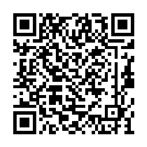 也让天祈在盛京安排好了洛天星需要入住的医院二维码生成