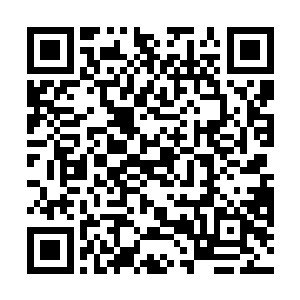 也让我们看到了电影艺术与科学学院的持续老化和保守二维码生成