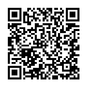 也让所有舰队在最后一战明知没有胜算的情况下二维码生成