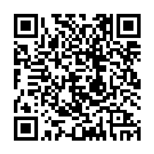 也让的本来应该被血祭死在这里的高阶修真存活了下来二维码生成