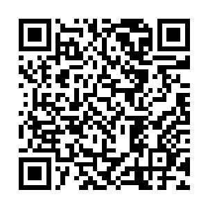 也让苏叶以前出演的电影出现了全面性的复苏的热潮二维码生成