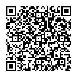 也让雪如楼多准备些随时能拿出来用的幻歌魔莲以及其出产的莲子之类的东西备着二维码生成