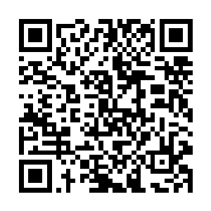 也许……之前的照片和现在的照片都是同一个人发的二维码生成