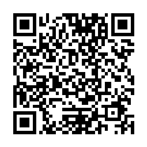 也许一个剧本全部的修改编剧改动的比例加起来会超过50%二维码生成