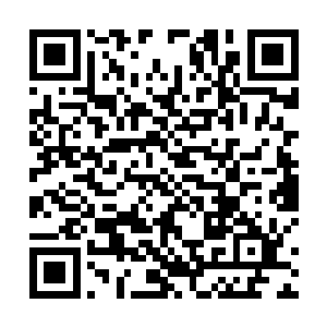 也许一直陪伴在身边的伴侣却不是那个命中注定的恋人二维码生成