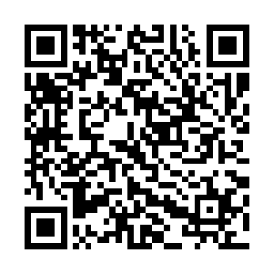 也许不是她呢……也许她也是被诱骗呢……也许她在动手前二维码生成