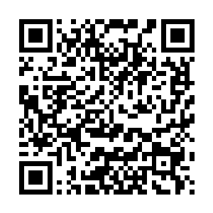 也许也更合这些热情洋溢上来祝贺的影评人和时尚界人士的胃口二维码生成