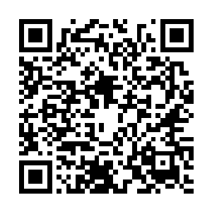 也许亚当从来都不会正确地表达自己的关心和爱护二维码生成