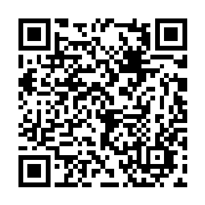 也许他可以凭借九级巨火鸟的威力震慑住三城使者二维码生成