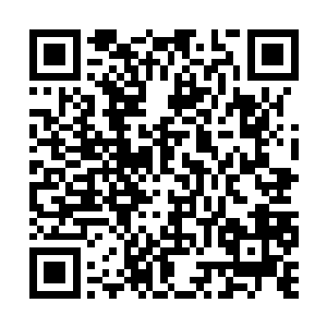 也许他是想要看看那个家伙到底能成长到什么地步二维码生成