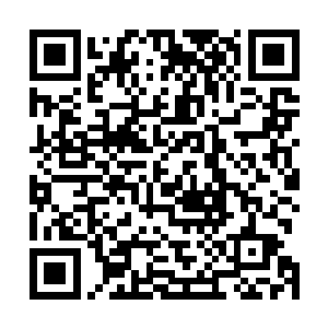 也许他灵魂中的某一处一直在冷眼旁观着两人的感情发展二维码生成