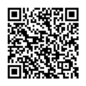 也许会在几年后成为华民集团日后一大盈利热点二维码生成