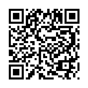 也许会是国际上一流的明星经纪人二维码生成