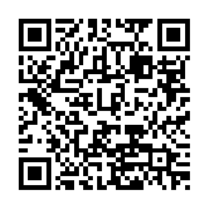 也许会有什么奇特的生物能够避过精神力的感知二维码生成