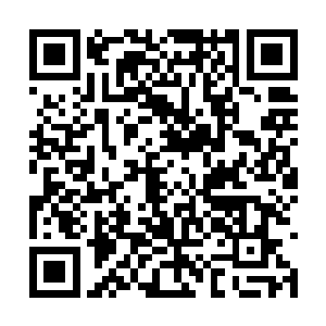 也许会迎来柳暗花明和苦难过后蜕变成幸福的重生二维码生成