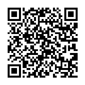 也许佛门中的那第二拨人就是为了借助这些人的力量二维码生成