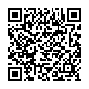 也许你在阵法之中好像是几个月或者半年才会死二维码生成