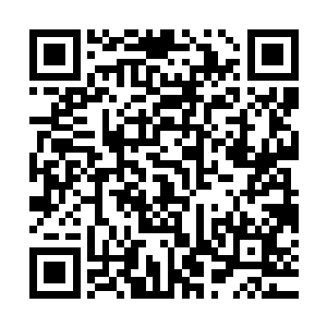 也许前台这些人见多了太多临海市优秀的年轻人来找司空嫣然了二维码生成