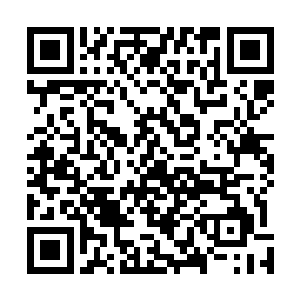 也许只是气韵相似……但只要有那么一星半点相像的地方二维码生成