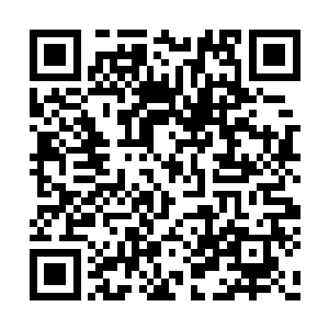 也许只有等到雷霆巨剑完全恢复在能够和它比肩二维码生成