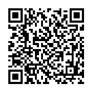 也许可以换个身份和他们接触……我寻找我的答案二维码生成