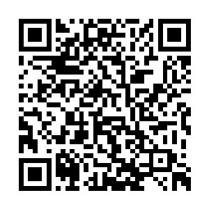 也许可以试着把凌家的家主和那位首辅大人干掉二维码生成