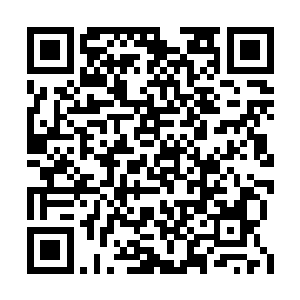 也许司南下此时需要的只是一个安静的环境而已二维码生成