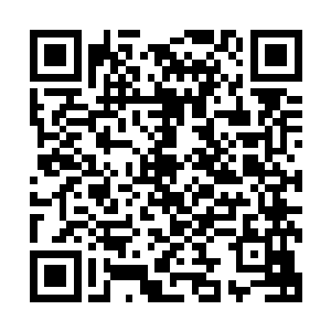 也许四十年前那个时间点上已经成为轮回者的同样会相继陨落二维码生成
