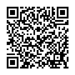 也许在那一滴弱水碰到刘宇的那一刹那就会崩溃二维码生成