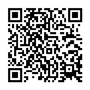 也许她也活不到现在了――近处的宁军将士们一定会杀了她泄愤二维码生成
