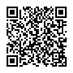 也许她斗嘴斗不过那厮的缘故就是因为没法像弓藏血这么横二维码生成