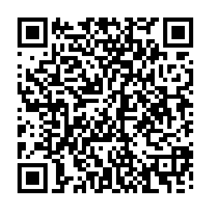 也许就是这一点让她就觉得自己身上充满了所谓的母性和姐姐混合气息吧二维码生成