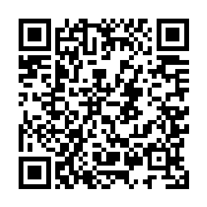 也许就能完全适应这大宋政坛百余年来未曾有过的新格局二维码生成